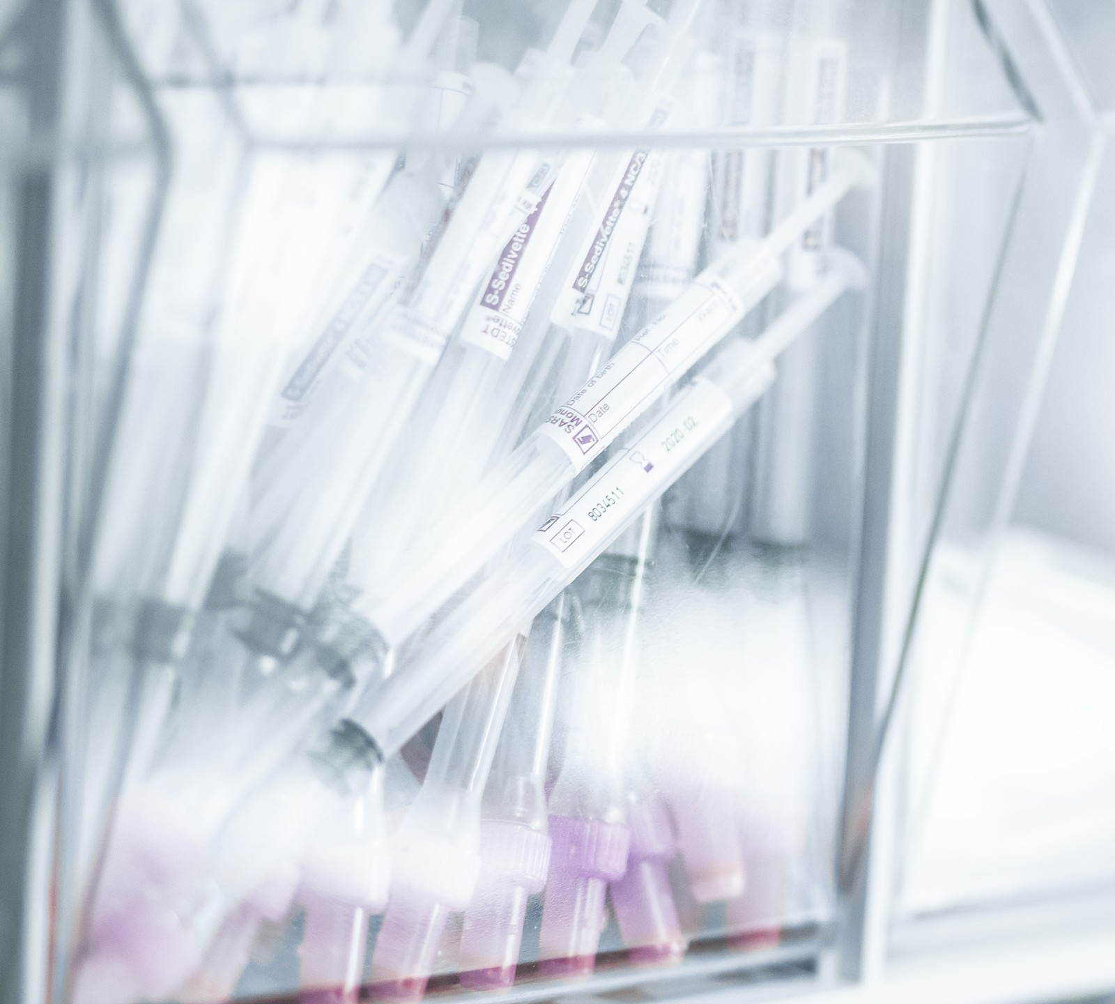 Bild volle Breite mobile